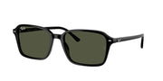 Ray-Ban RB2231 Black Sunglasses