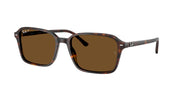 Ray-Ban RB2231 Havana Sunglasses