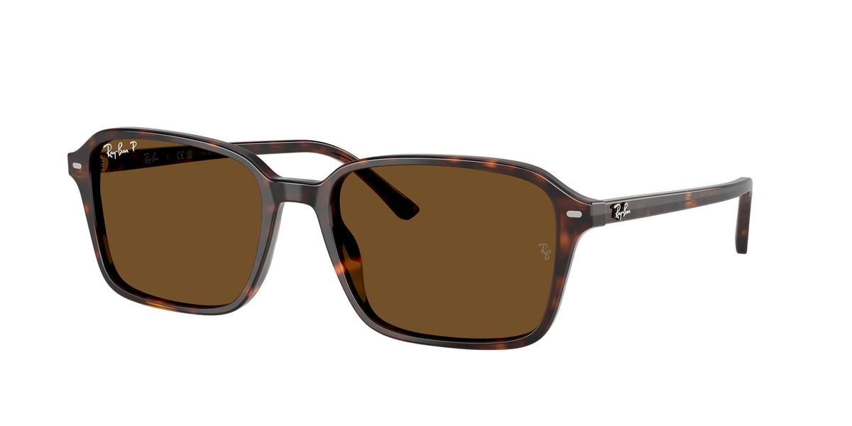 Ray-Ban RB2231 Havana Sunglasses