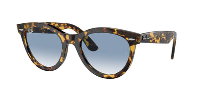Ray-Ban RB2241 Sunglasses