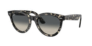 Ray-Ban RB2241 Grey Havana Sunglasses
