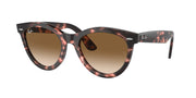 Ray-Ban RB2241 Pink Havana Sunglasses