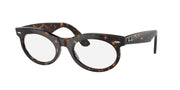 Ray-Ban RB2242F Havana Sunglasses