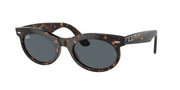 Ray-Ban RB2242F Havana Sunglasses