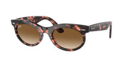 Ray-Ban RB2242 Pink Havana Sunglasses