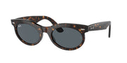 Ray-Ban RB2242 Havana Sunglasses