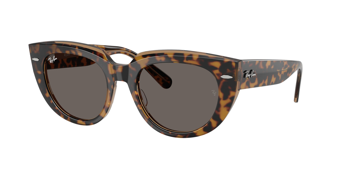 Ray-Ban RB2286F Havana On Transparent Brown Sunglasses