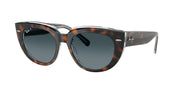 Ray-Ban RB2286 Dark Havana On Transparent Multicolor Sunglasses