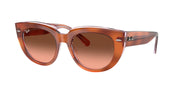 Ray-Ban RB2286 Red Havana On Transparent Multicolor Sunglasses