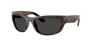 Ray-Ban RB2289 Havana Sunglasses