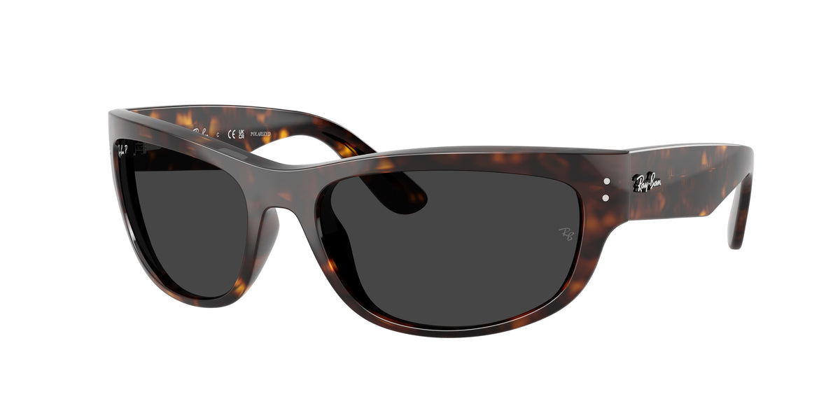 Ray-Ban RB2289 Havana Sunglasses