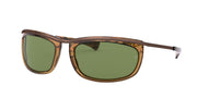Ray-Ban RB2319 Havana Brown Sunglasses