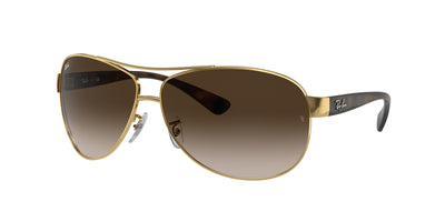 Ray-Ban RB3386 Sunglasses