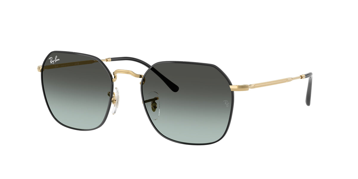 Ray-Ban RB3694 Black On Arista Sunglasses