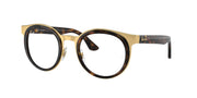 Ray-Ban RB3710 Havana On Gold Sunglasses