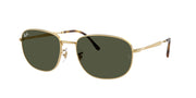 Ray-Ban RB3754 Arista Gold Sunglasses