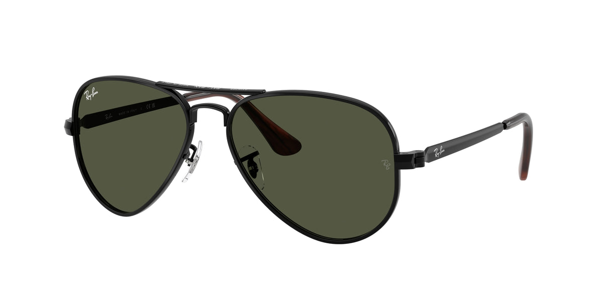 Ray-Ban RB3925 Black Sunglasses