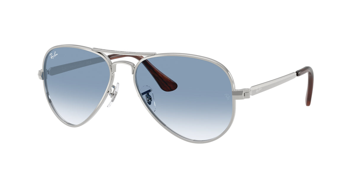 Ray-Ban RB3925 Silver Sunglasses