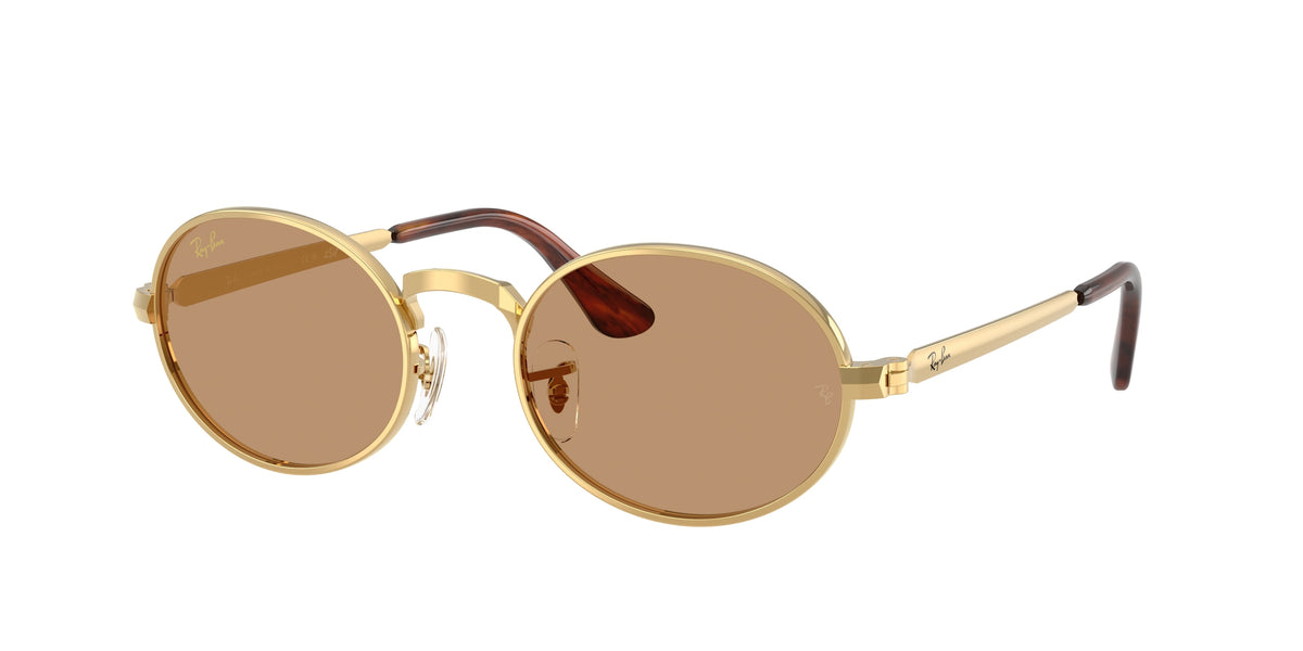 Ray-Ban RB3931 Arista Gold Sunglasses