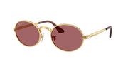 Ray-Ban RB3931 Arista Gold Sunglasses