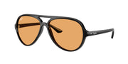 Ray-Ban RB4125 Black Sunglasses