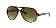 Ray-Ban RB4125 Light Havana Sunglasses