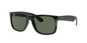 Ray-Ban RB4165F Black Sunglasses