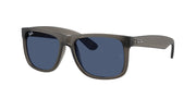 Ray-Ban RB4165F Opal Grey Sunglasses