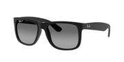 Ray-Ban RB4165 Rubber Black Sunglasses