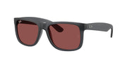 Ray-Ban RB4165 Opal Grey Sunglasses