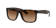 Ray-Ban RB4165 Havana Sunglasses