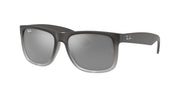 Ray-Ban RB4165 Grey Sunglasses