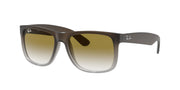 Ray-Ban RB4165 Brown Sunglasses