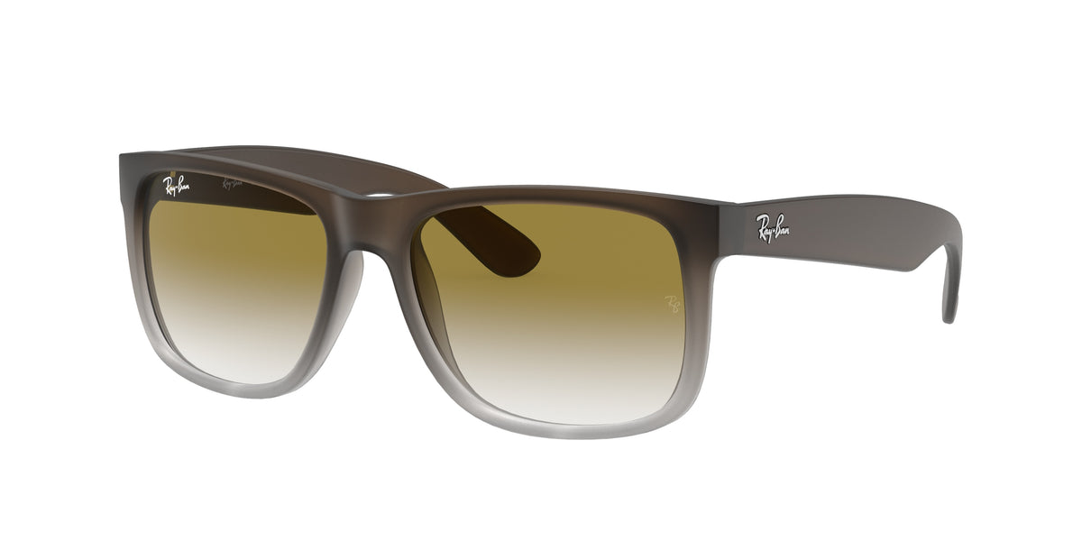 Ray-Ban RB4165 Brown Sunglasses
