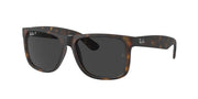 Ray-Ban RB4165 Havana Sunglasses