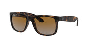 Ray-Ban RB4165 Havana Sunglasses