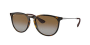 Ray-Ban RB4171F Light Havana Sunglasses