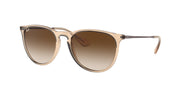 Ray-Ban RB4171 Transparent Brown Sunglasses