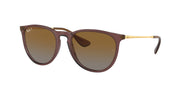 Ray-Ban RB4171 Transparent Dark Brown Sunglasses
