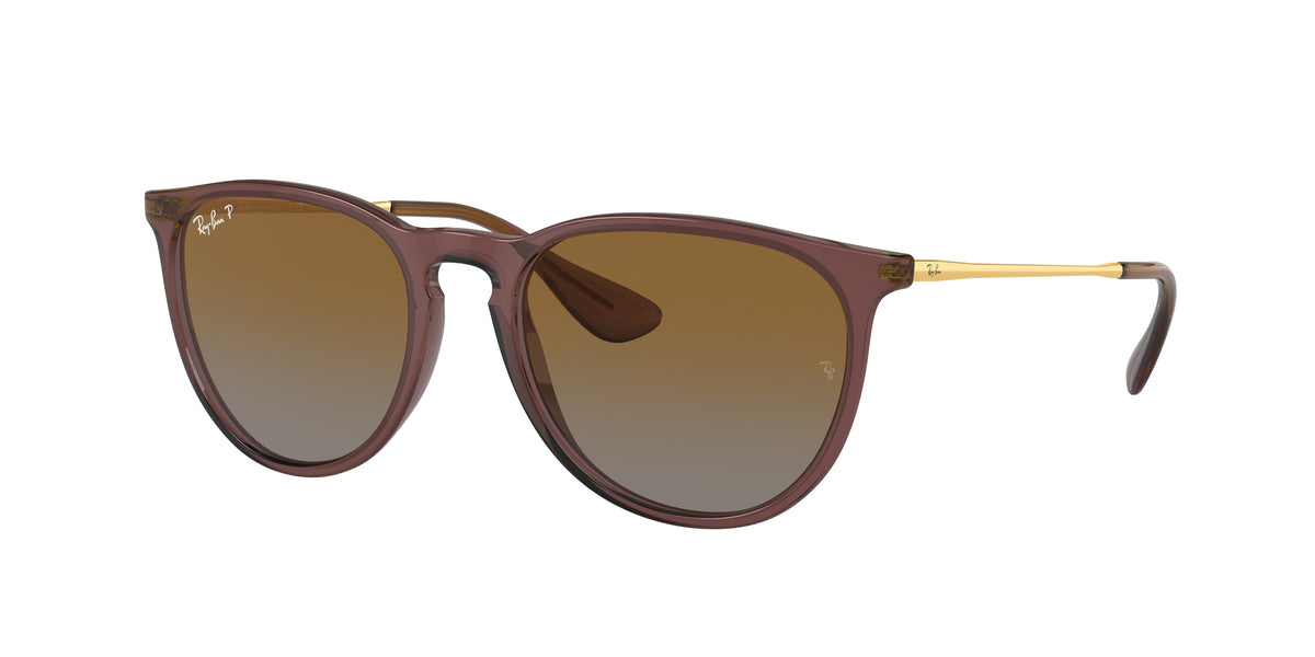 Ray-Ban RB4171 Transparent Dark Brown Sunglasses