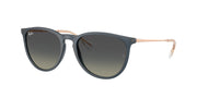 Ray-Ban RB4171 Rubber Blue Sunglasses