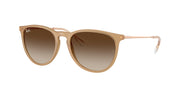 Ray-Ban RB4171 Rubber Beige Sunglasses