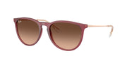 Ray-Ban RB4171 Rubber Violet Sunglasses