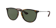 Ray-Ban RB4171 Light Havana Sunglasses