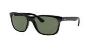 Ray-Ban RB4181 Black Sunglasses