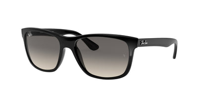Ray-Ban RB4181 Sunglasses