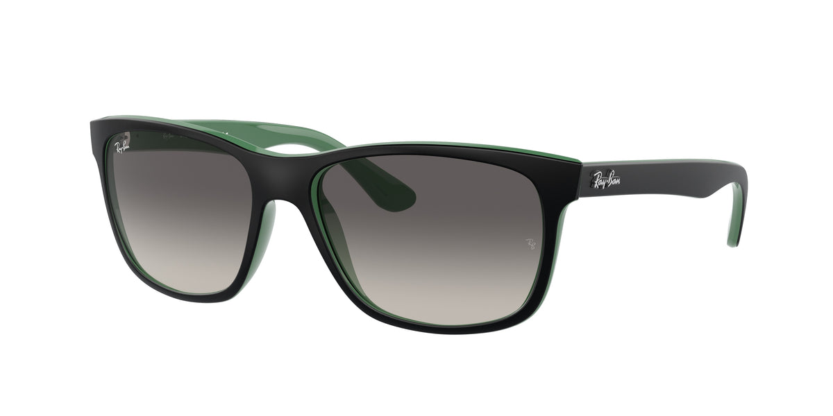 Ray-Ban RB4181 Black Sunglasses