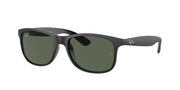 Ray-Ban RB4202 Black Sunglasses