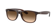 Ray-Ban RB4202 Brown Sunglasses