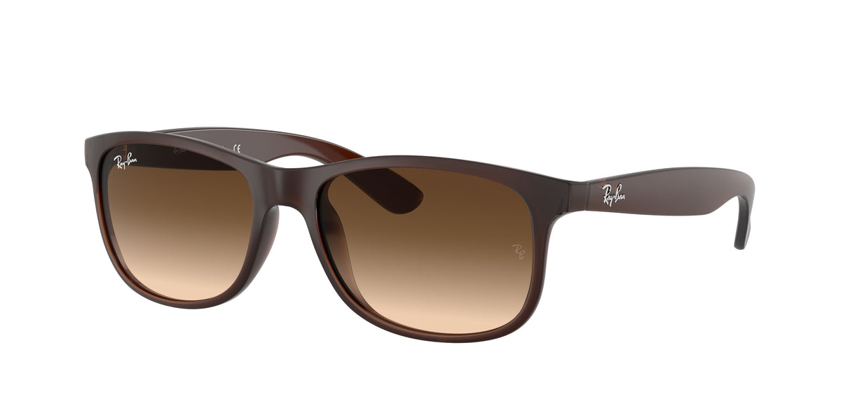 Ray-Ban RB4202 Brown Sunglasses